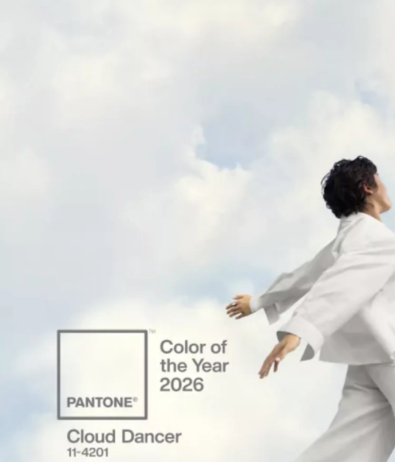 Pantone proclame le retour du blanc maîtrisé : Comment choisir sa peinture blanche à Pornic